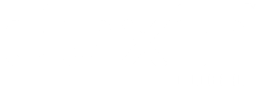 Logo DAXIN UAE W